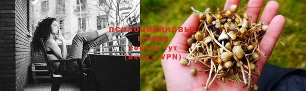 меф Балахна