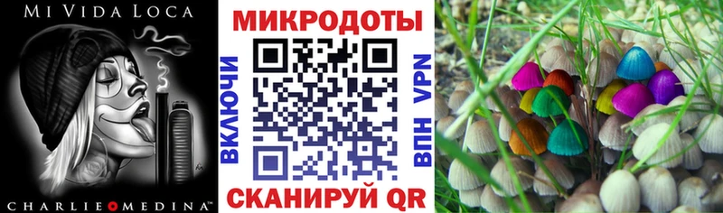 Псилоцибиновые грибы Magic Shrooms  KRAKEN ONION  Бирюч 